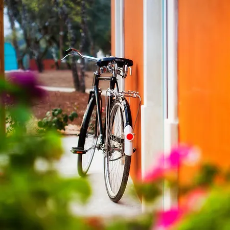 Luz Charming Venkovský dům *