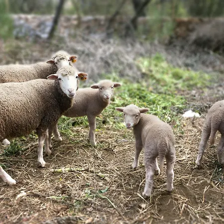 Venkovský dům Luz Charming *