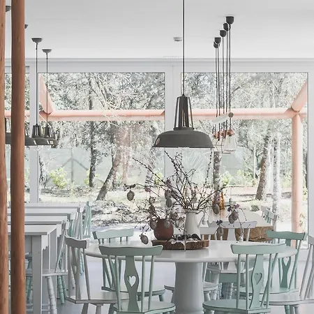 Luz Charming Landsted *