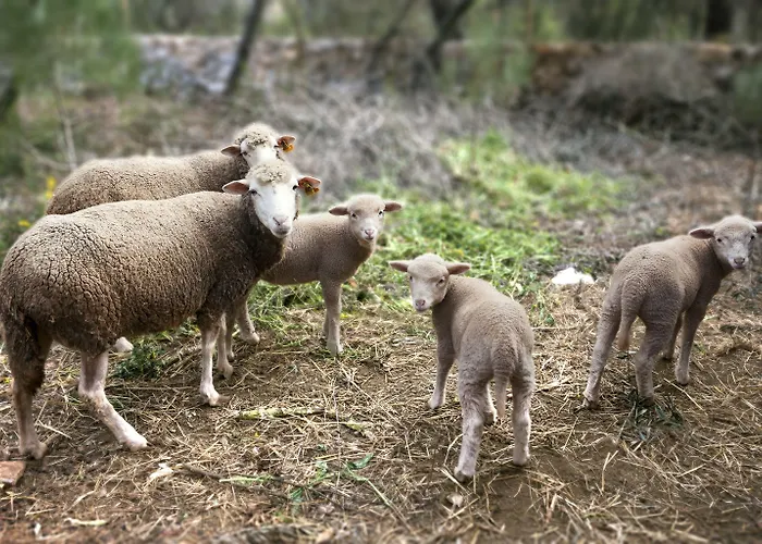 Country house Luz Charming *