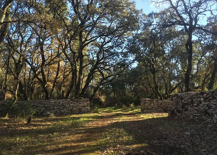 Country house Luz Charming *